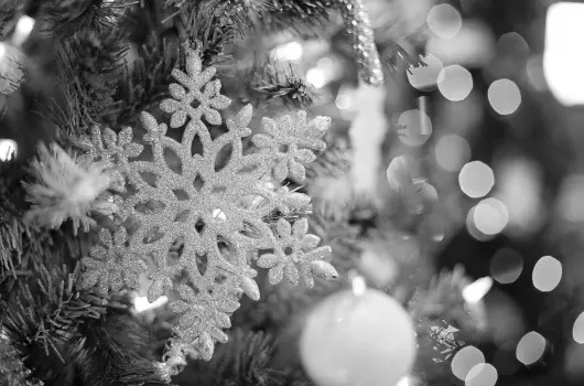 Hotel Ovit - Oktber 23. (min. 2 j)