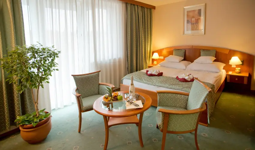 Palace Hotel  Hvz - Oktber 23. - teljes elrefizetssel