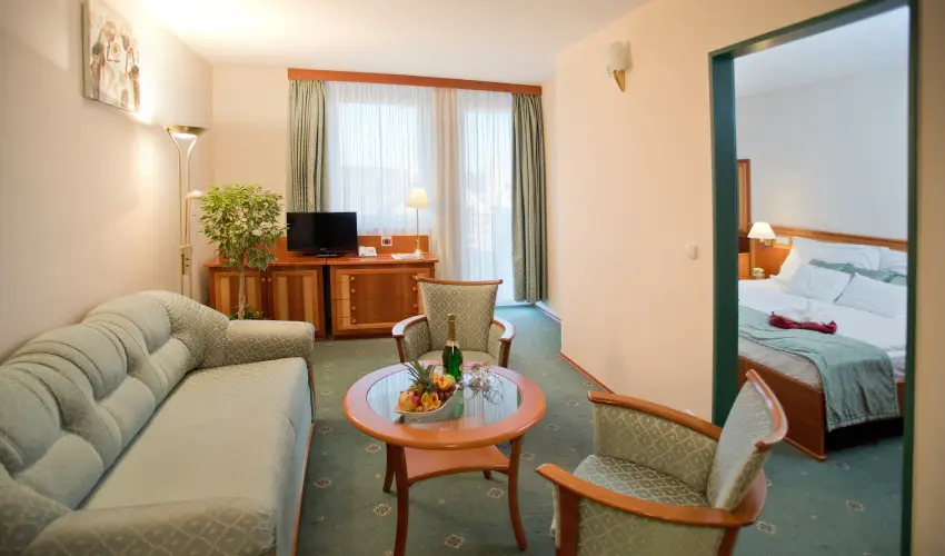 Palace Hotel  Hvz - Oktber 23. - teljes elrefizetssel