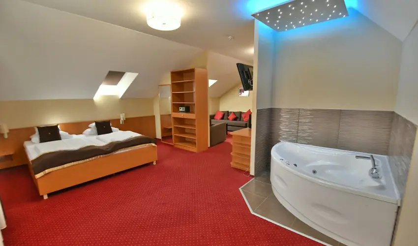 Hotel Platn Szkesfehrvr Szkesfehrvr - Oktber 23.