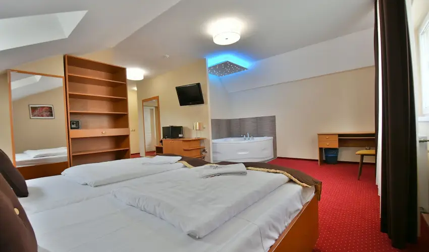 Hotel Platn Szkesfehrvr Szkesfehrvr - Oktber 23.