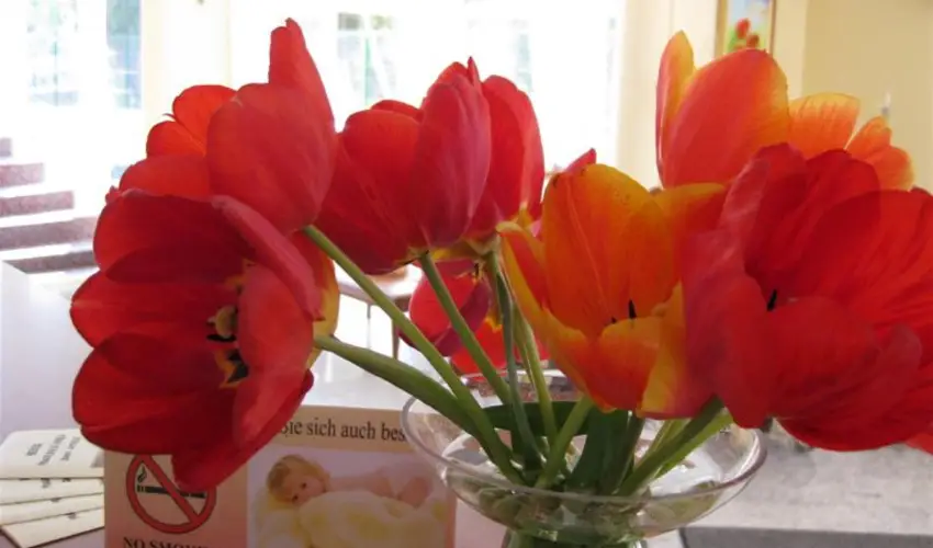 Sante Hvz Hvz - Oktber 23.