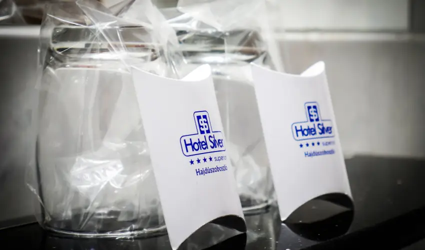 Silver Hotel Hajdszoboszl - Oktber 23.