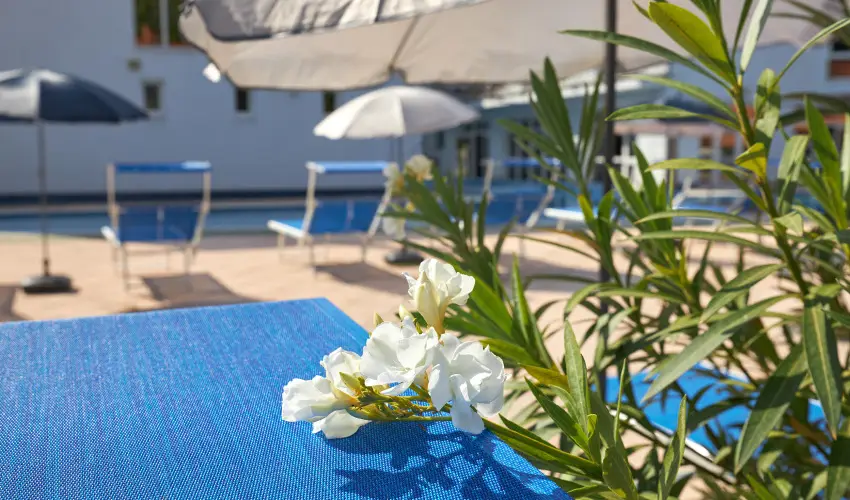 Silver Hotel Hajdszoboszl - Oktber 23.