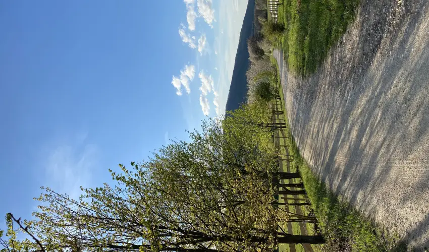 Hotel Szpalma Porva-Szpalmapuszta - Oktber 23.