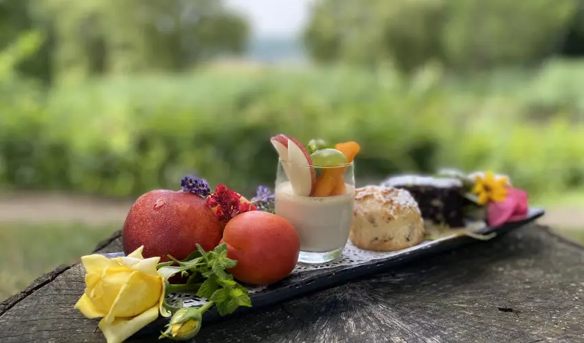 Hotel Szpalma Porva-Szpalmapuszta - Oktber 23.