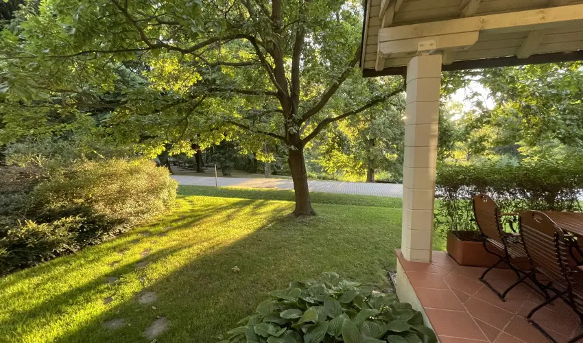 Hotel Sz�palma Porva-Sz�palmapuszta - Okt�ber 23.