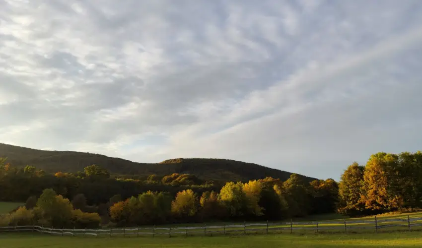 Hotel Sz�palma Porva-Sz�palmapuszta - Okt�ber 23.