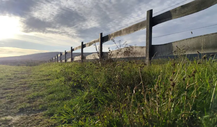 Hotel Sz�palma Porva-Sz�palmapuszta - Okt�ber 23.