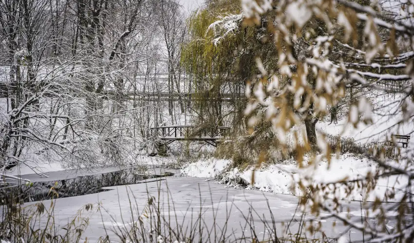 Hotel Sz�palma Porva-Sz�palmapuszta - Okt�ber 23.