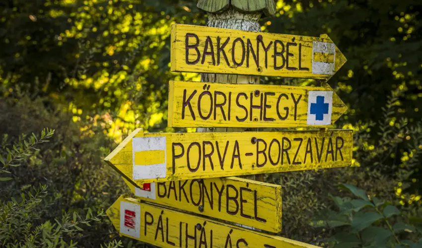 Hotel Sz�palma Porva-Sz�palmapuszta - Okt�ber 23.