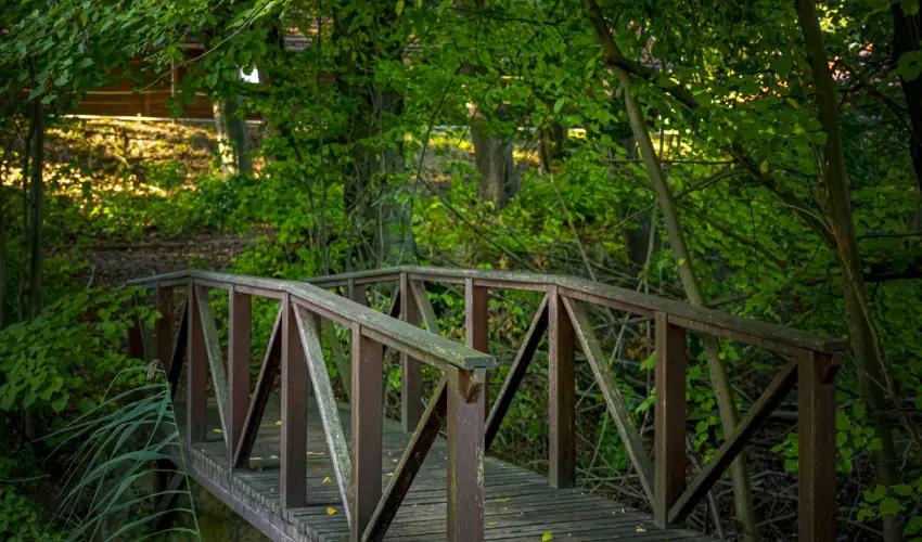 Hotel Sz�palma Porva-Sz�palmapuszta - Okt�ber 23.