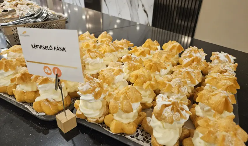 Hotel Szieszta Sopron - Oktber 23.