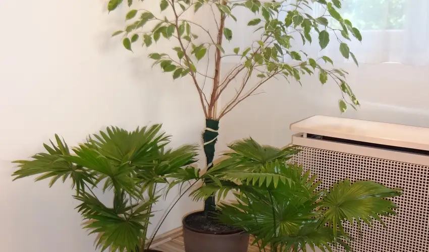 Hotel Touring Nagykanizsa - Oktber 23.