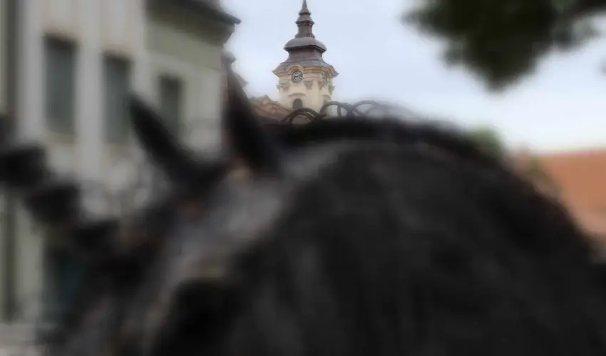 Hotel Unicornis Eger - Okt�ber 23.