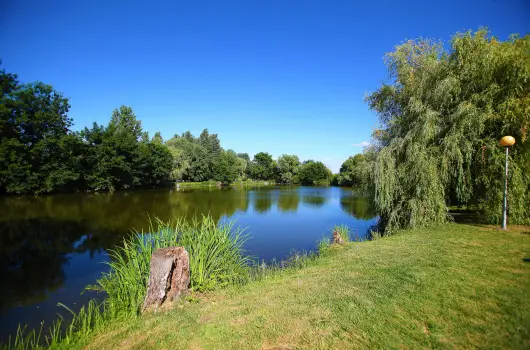 Terml Hotel Vesta - Oktber 23. (min. 3 j)