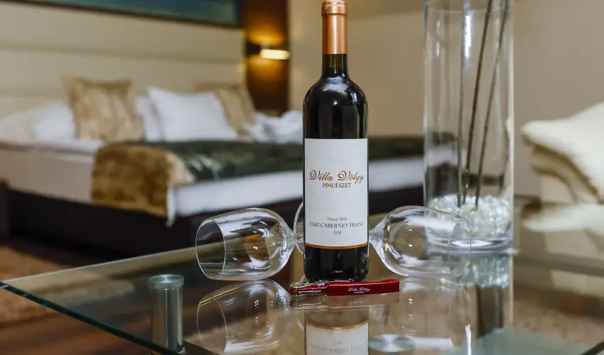 Hotel Villa Vlgy Eger - Oktber 23.