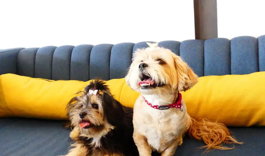 Hotel Yacht Wellness & Business Sifok - Oktber 23. (min. 3 j)