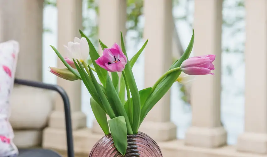 Hotel Anna Villa Balatonfldvr - Oktber 23. (min. 2 j)