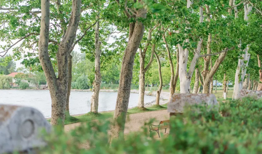 Hotel Anna Villa Balatonfldvr - Oktber 23. (min. 2 j)