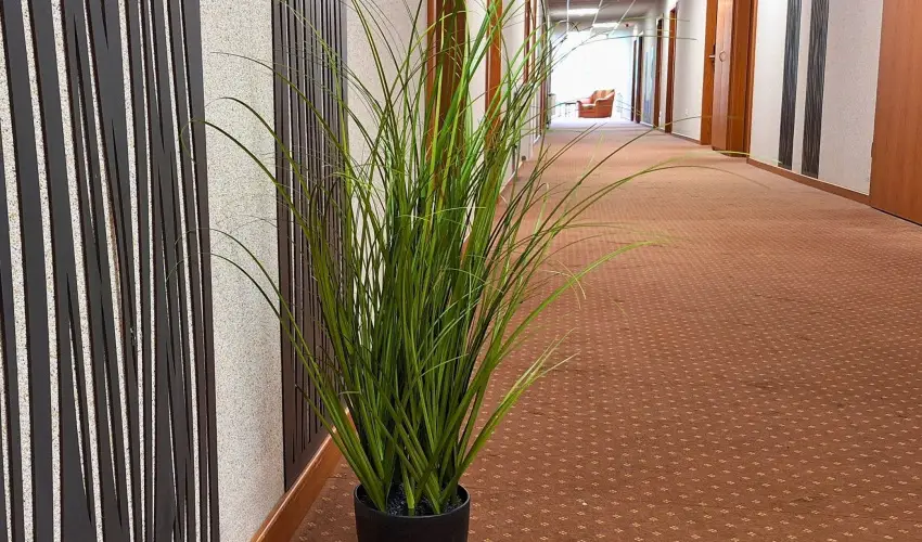 Hungarospa Thermal Hotel Hajdszoboszl - Oktber 23.