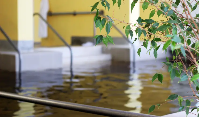 Hotel Hforrs Hajdszoboszl - Oktber 23. (min. 5 j)