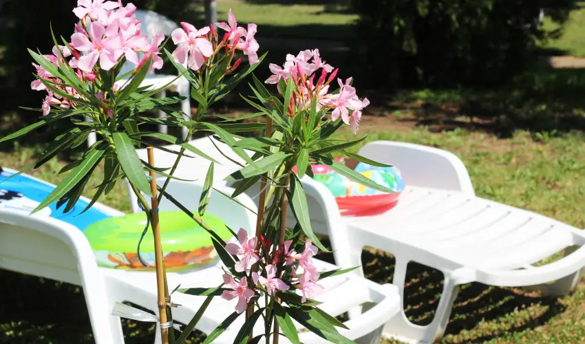 Hotel Hforrs Hajdszoboszl - Oktber 23. (min. 5 j)