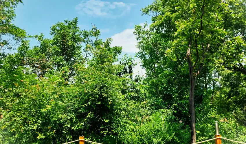 Hunor Vendghz Storaljajhely - Oktber 23.