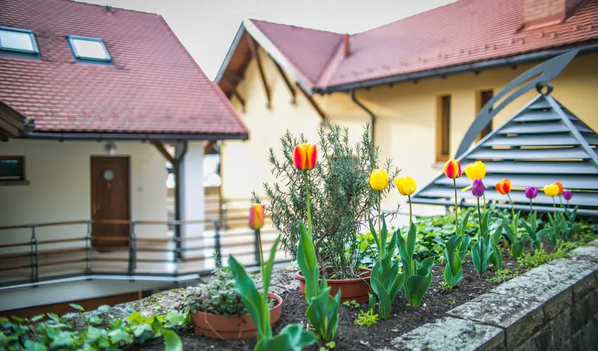 Imola Udvarhz Eger - Oktber 23.