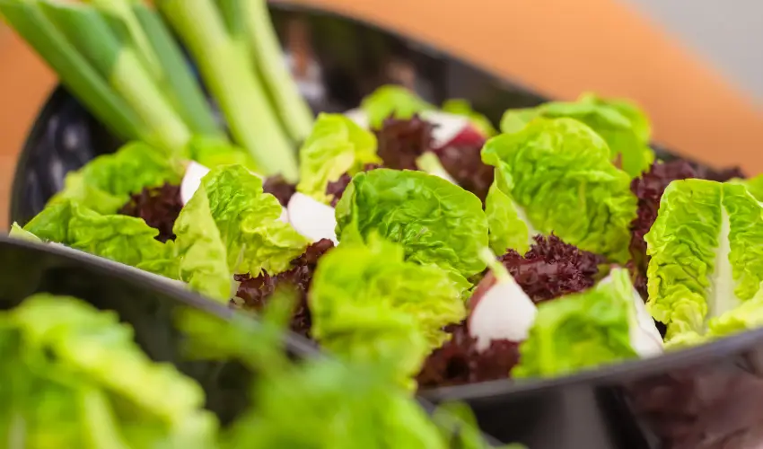 Impulso Fashion Hotel Budapest - Oktber 23. - teljes elrefizetssel