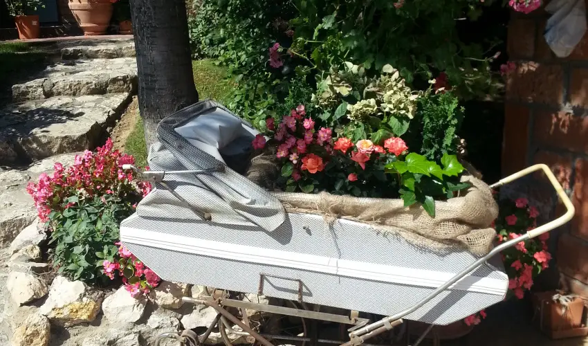 Jo Fogad Wellness Panzi Rbapaty - Oktber 23.