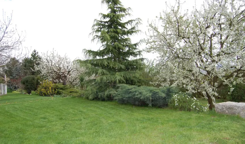 Judit Panzi Tapolca-Gyulakeszi - Oktber 23. (min. 2 j)