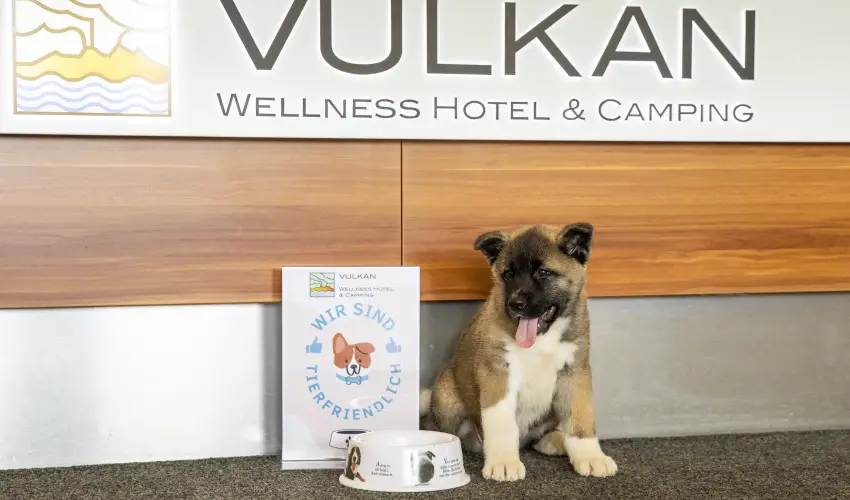 Vulkn Wellness Hotel s Kemping Celldmlk - Oktber 23. (min. 2 j)