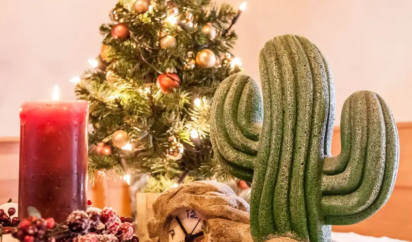 Kaktusz Villa H�v�z - Okt�ber 23. (min. 2 �j)