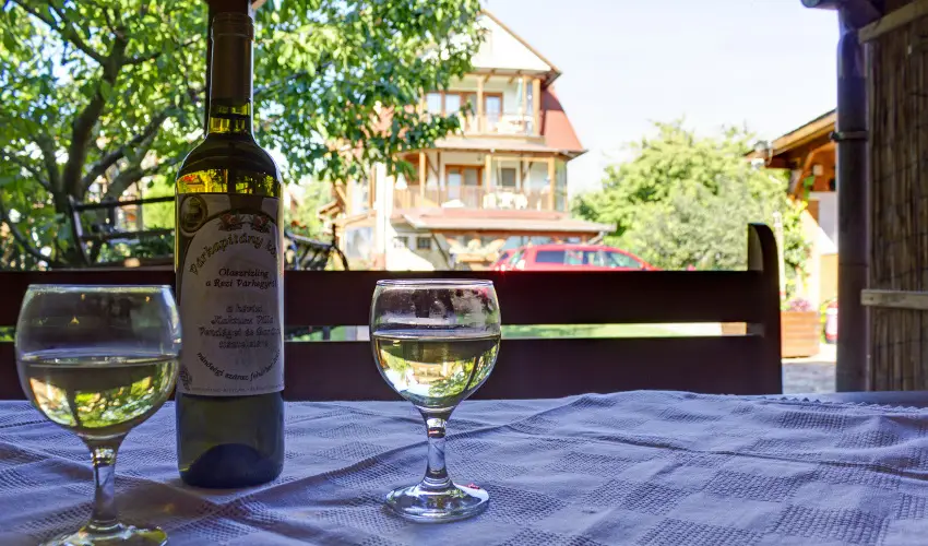 Kaktusz Villa H�v�z - Okt�ber 23. (min. 2 �j)