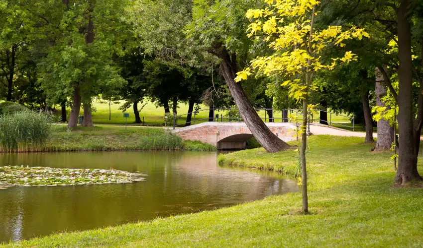 Krolyi Kastly Hotel & Restaurant  Fehrvrcsurg - Oktber 23. - specilis elrefizetssel