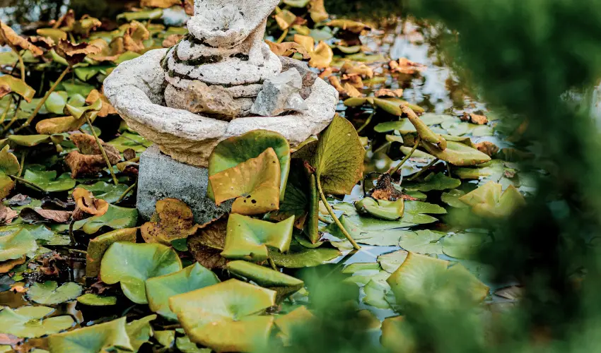 Kastello Vendghz Nagykozr - Oktber 23.