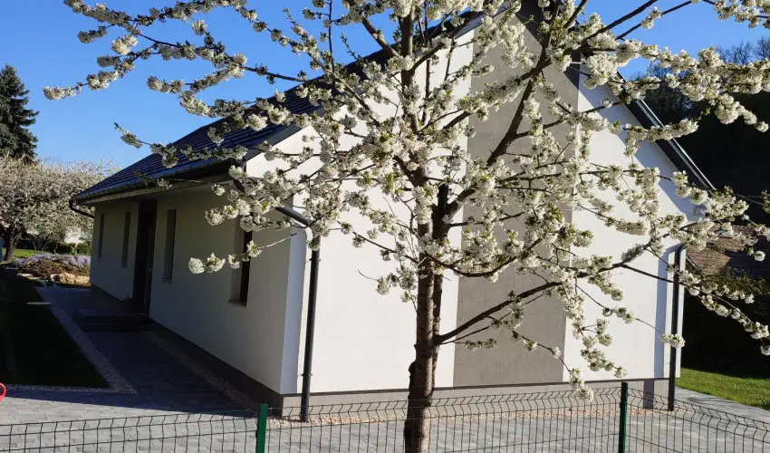 Kat�ng Vend�gh�z Tardos - Okt�ber 23. (min. 2 �j)