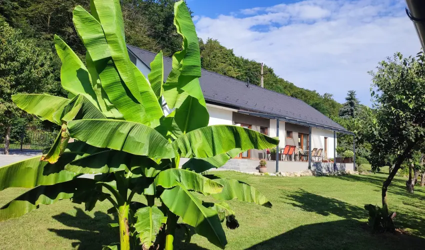 Kat�ng Vend�gh�z Tardos - Okt�ber 23. (min. 2 �j)