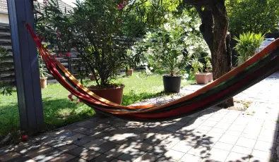 Kkmadr Vendghz Homokmgy