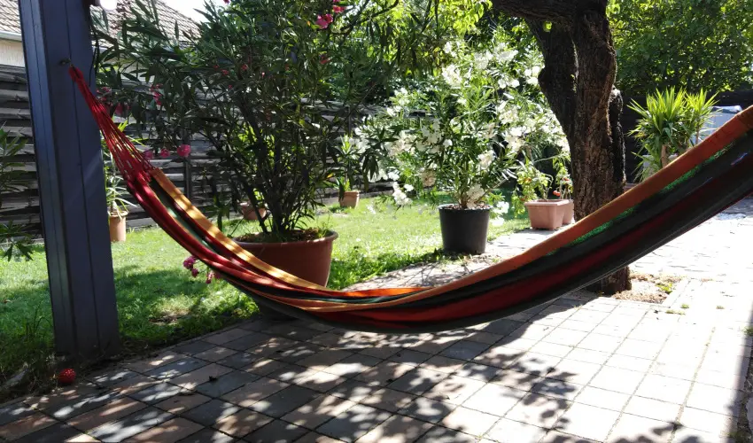 Kkmadr Vendghz Homokmgy - Oktber 23.