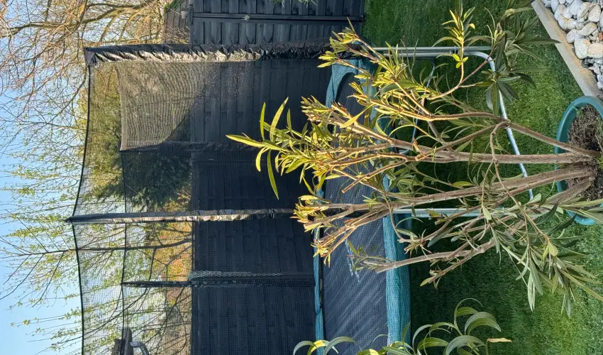 Kkmadr Vendghz Homokmgy - Oktber 23.