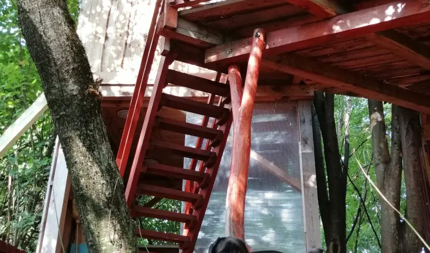 Kerca Bio Farm Kercaszomor - Oktber 23. (min. 2 j)