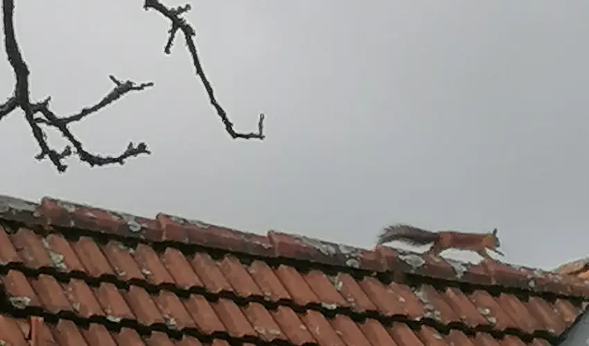 Kerka Vendghz Csesztreg - Oktber 23. (min. 2 j)