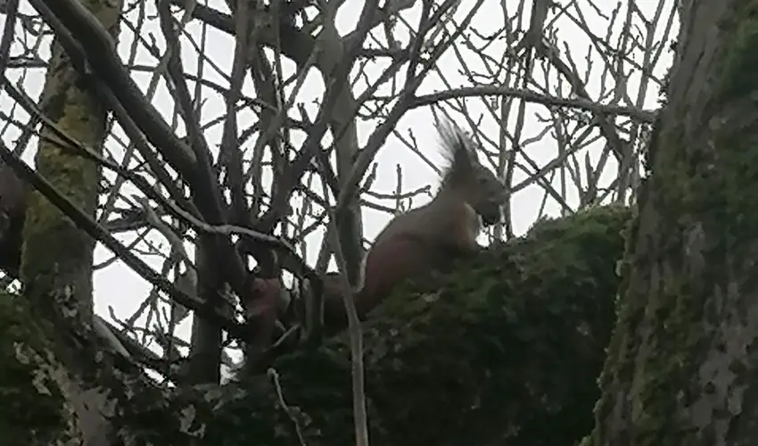 Kerka Vendghz Csesztreg - Oktber 23. (min. 2 j)