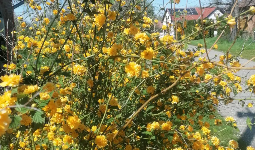 Kerka Vendghz Csesztreg - Oktber 23. (min. 2 j)