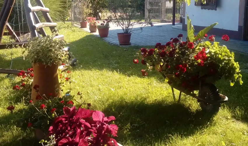 Kerka Vendghz Csesztreg - Oktber 23. (min. 2 j)