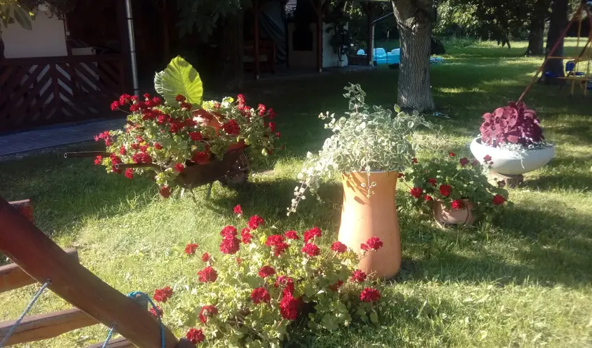 Kerka Vendghz Csesztreg - Oktber 23. (min. 2 j)