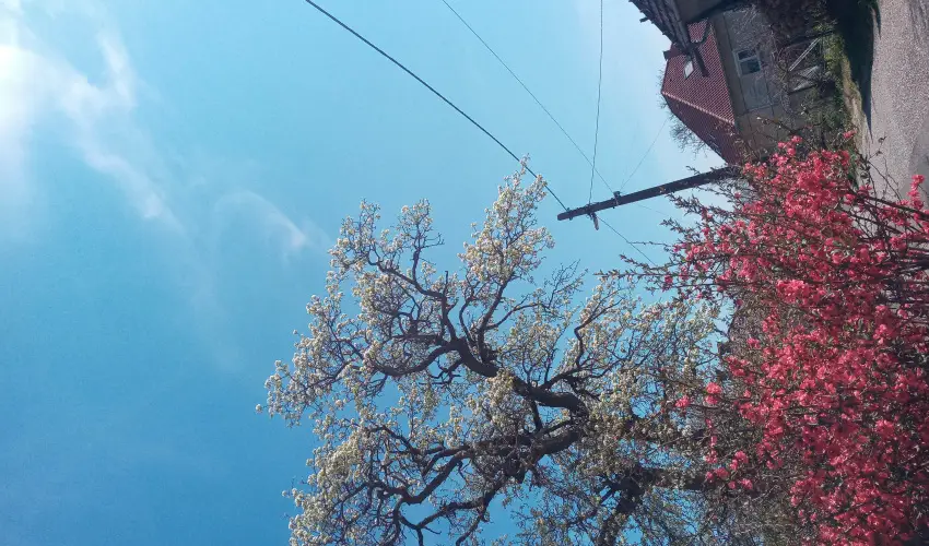 Kerka Vendghz Csesztreg - Oktber 23. (min. 2 j)