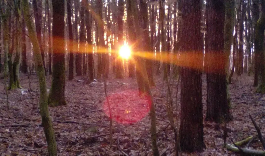 Kerka Vendghz Csesztreg - Oktber 23. (min. 2 j)